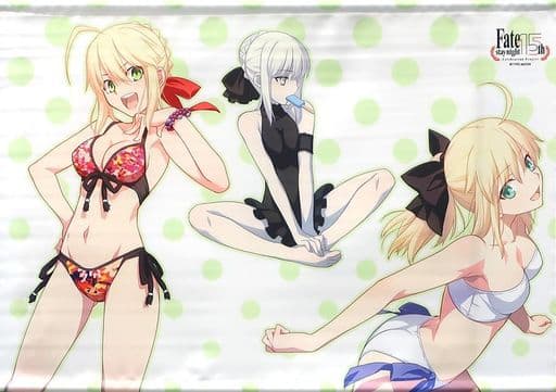 Tapestry Large Saber Swimsuit Fate Series Type-Moon Illustration B2 17 Exhibitio